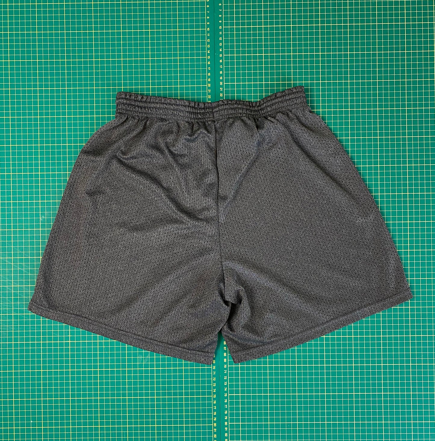 6" VINTAGE CHAMPION TRACK SHORTS -M-L-XL-