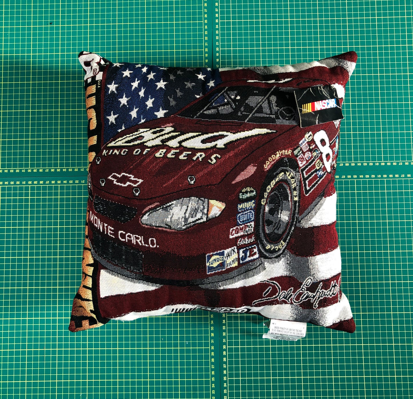 DALE EARNHARDT PILLOW NWT